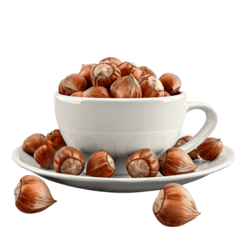 هات فندق دارچین